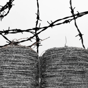 BARB WIRE